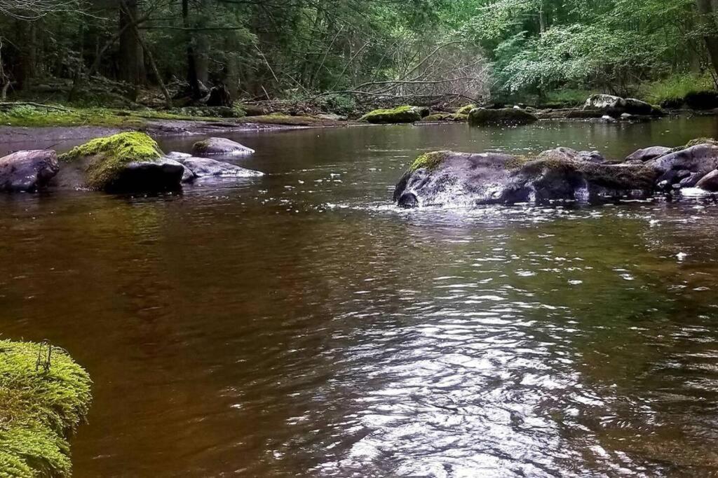 *Amenity-Filled Waterfront Oasis @Saw Creek Estates Near Waterfalls And Hiking* East Stroudsburg Exteriör bild