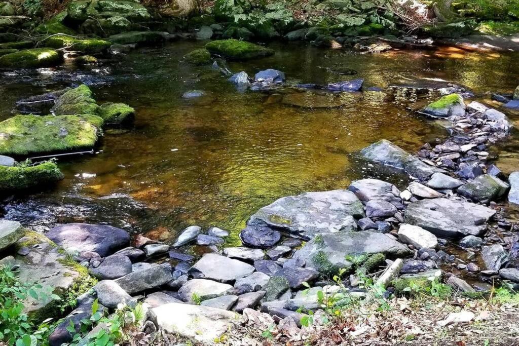 *Amenity-Filled Waterfront Oasis @Saw Creek Estates Near Waterfalls And Hiking* East Stroudsburg Exteriör bild